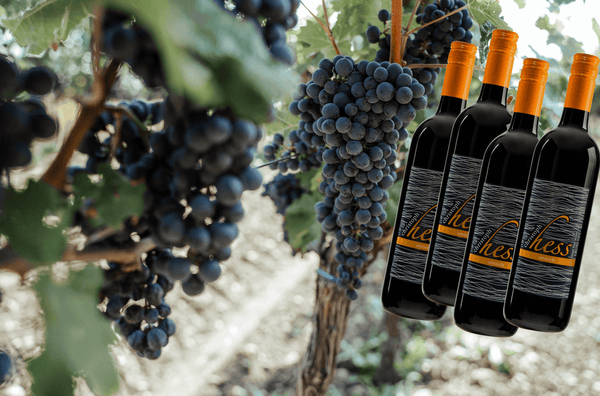 Rotweintrauben mit dem Wein des Monats Smooth