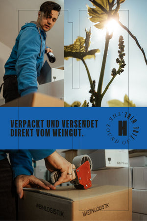 WEIßWEIN CUVÈE "SEE UND SONNE" JAHRGANG 2025