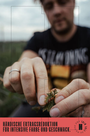 WEIßWEIN CUVÈE "SEE UND SONNE" JAHRGANG 2025