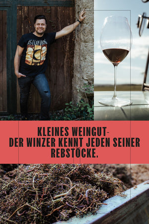 WEIßWEIN CUVÈE "SEE UND SONNE" JAHRGANG 2025