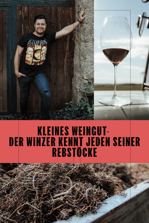 WEISSWEIN WELSCHRIESLING JAHRGANG 2025