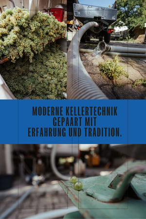 WEIßWEIN CUVÈE "SEE UND SONNE" JAHRGANG 2025