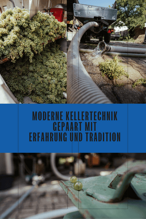 WEISSWEIN WELSCHRIESLING JAHRGANG 2025