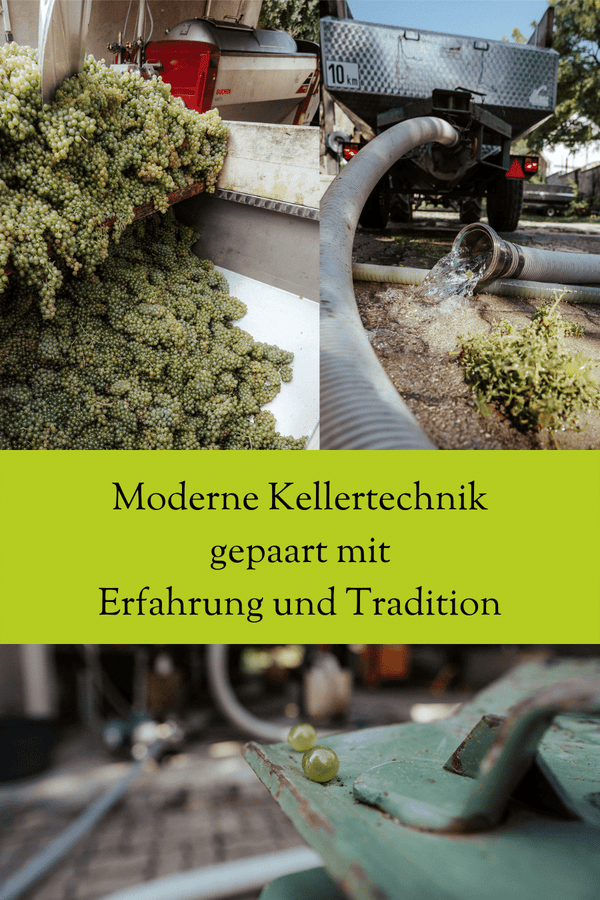 moderne Kellertechnik