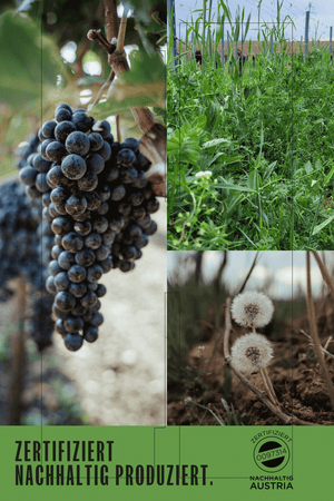 WEISSWEIN WELSCHRIESLING JAHRGANG 2025