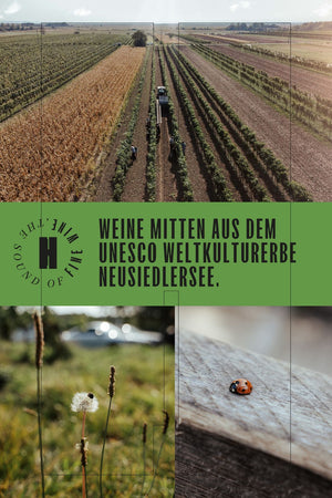 WEIßWEIN CUVÈE "SEE UND SONNE" JAHRGANG 2025