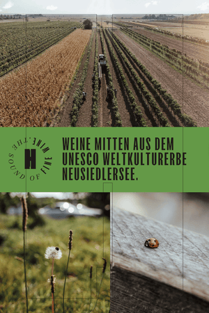 WEISSWEIN WELSCHRIESLING JAHRGANG 2025