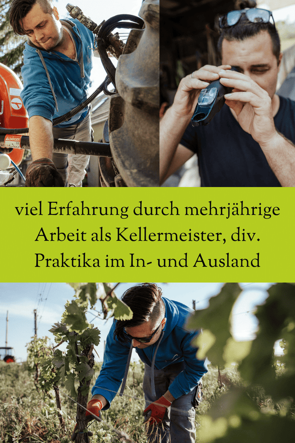 erfahrener Kellermeister