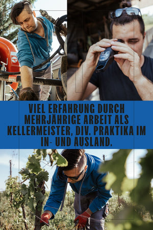 WEIßWEIN CUVÈE "SEE UND SONNE" JAHRGANG 2025