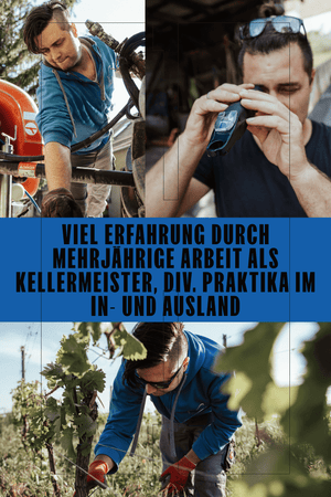 WEISSWEIN WELSCHRIESLING JAHRGANG 2025