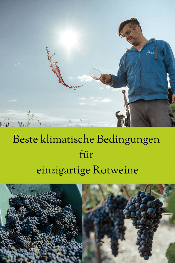 Einzigartige Rotweine