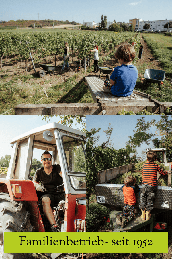 Weingut Christoph Hess Geschenkgutschein