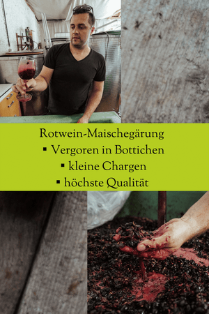 Rotwein Zweigelt Neusiedlersee DAC Reserve Jahrgang 2021