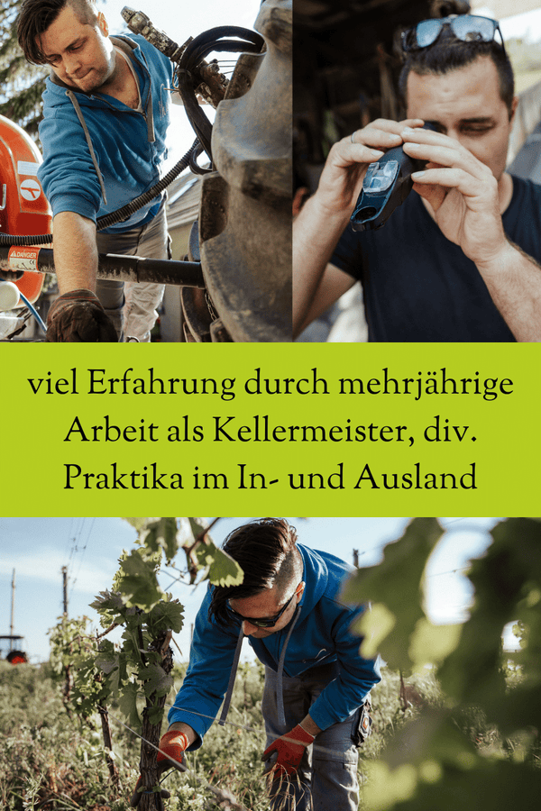 Rotwein Zweigelt Neusiedlersee DAC Reserve Jahrgang 2021
