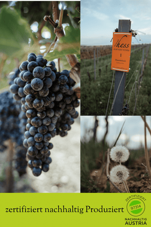 Rotwein Zweigelt Neusiedlersee DAC Reserve Jahrgang 2021