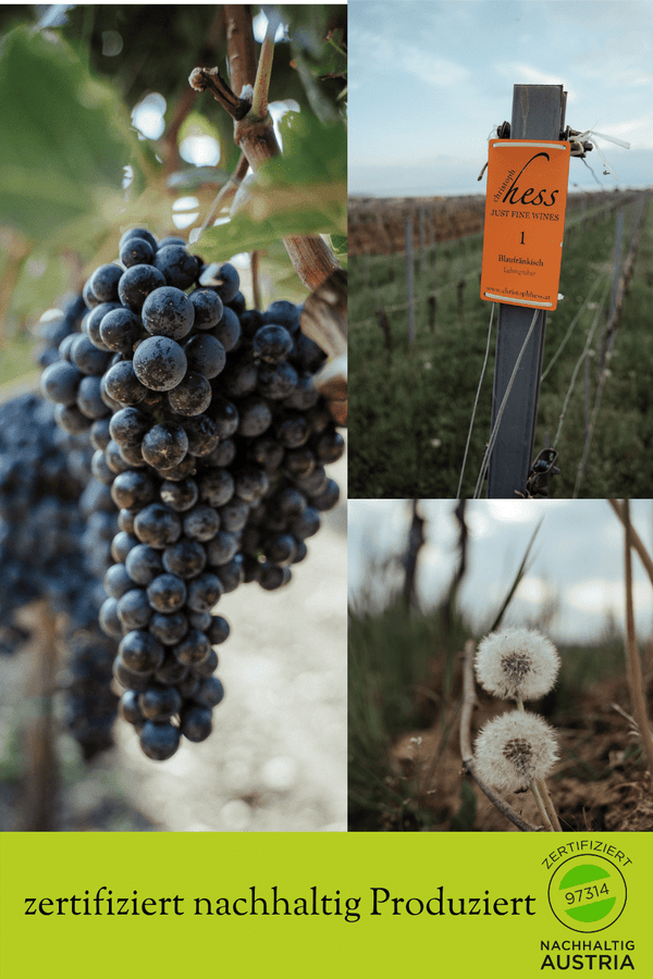 Süßwein Eiswein Jahrgang 2015